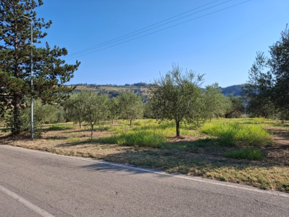 Terreno agricolo in vendita a Montefino